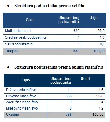 struktura_poduzetnika